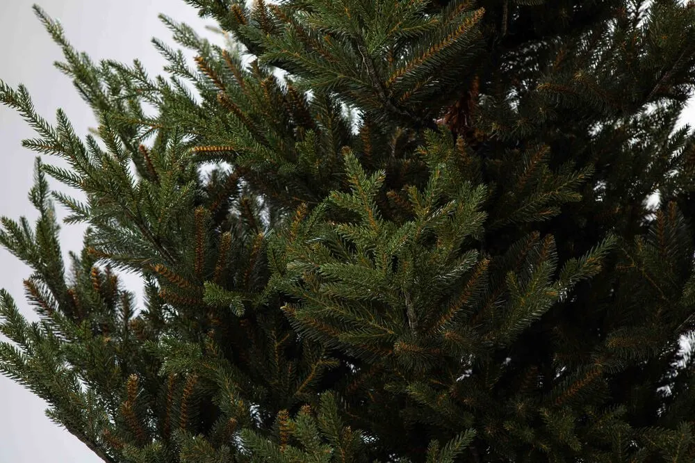 NOVINKA 2025 Smrek prírodný 3D vianočný stromček 180 cm